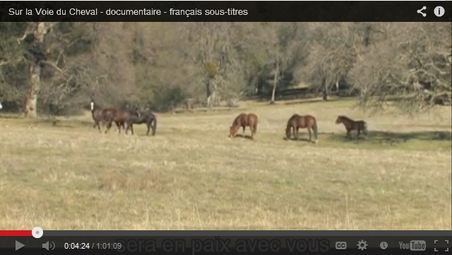 Sur la voie du cheval