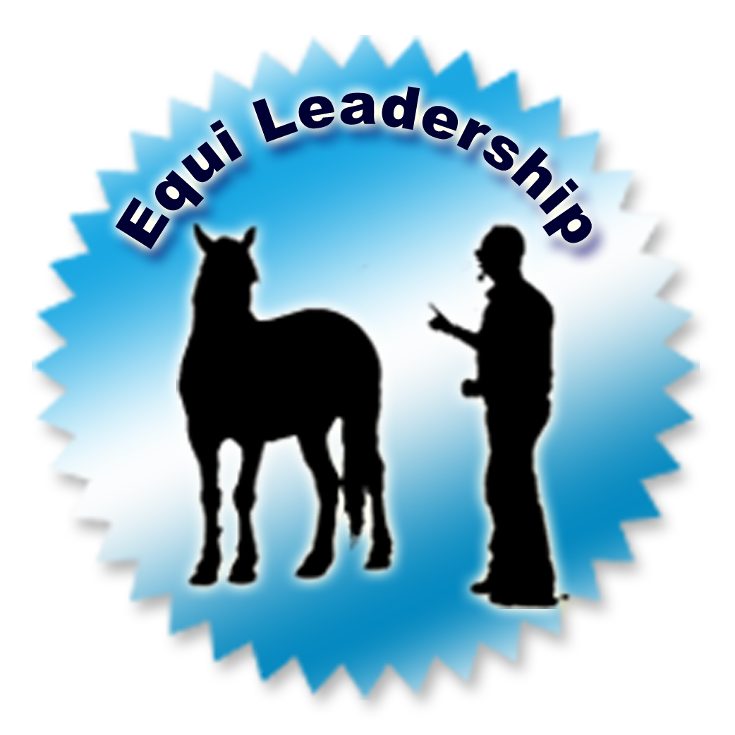 Equi-leadership - Développement personnel avec le cheval